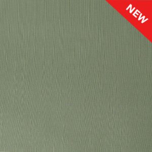 asahi-silk-olive