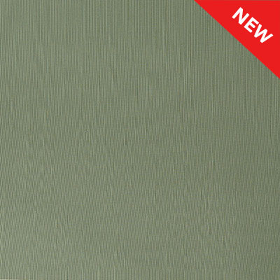asahi-silk-olive