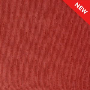 asahi-silk-rust