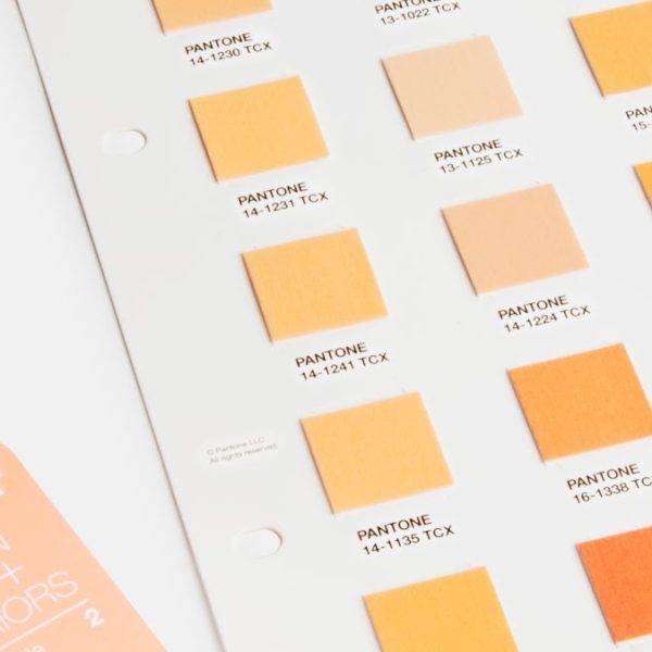 Pantone Peach Fuzz Colour of the Year 2024. Colour palette Peach